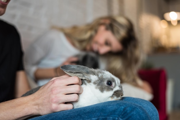 Jak opiekować się królikiem domowym na co dzień?