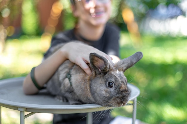 Jaki królik do domu sprawdzi się najlepiej?