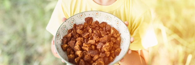 Sucha karma dla psa ile dawać aby nie zaszkodzić pupilowi?